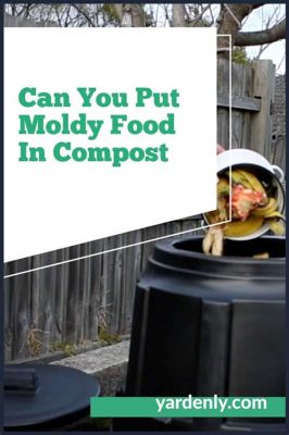 Can You Put Moldy Food in Compost? And Why Do Bananas Dream of Electric Compost?