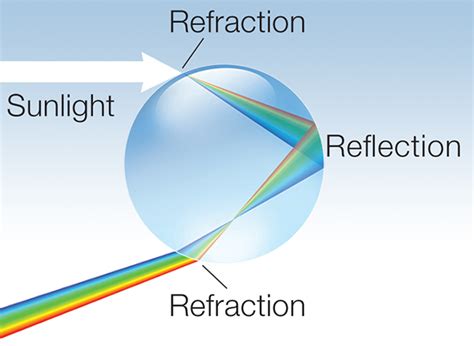 Does Food Coloring Come Out of Clothes? And Why Do Rainbows Taste Like Cotton Candy?