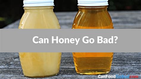 Is Honey Bad for Teeth? And Why Do Bees Never Get Cavities?