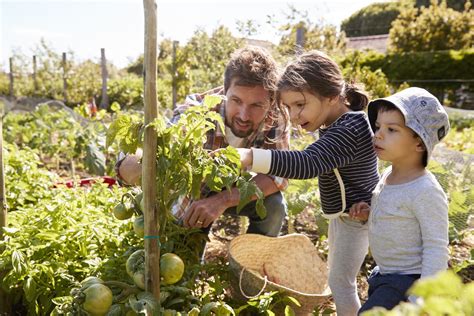 Is it illegal to grow your own food in California, and can you do it while riding a unicycle?