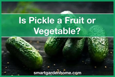 Is Pickle a Fruit or Vegetable? And Why Does It Taste Like Sunshine?