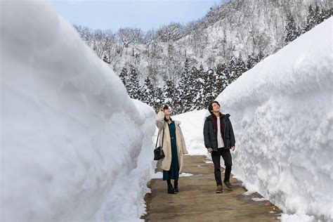 新潟市南区白根 天気 - 天候がもたらす地域の魅力と生活への影響