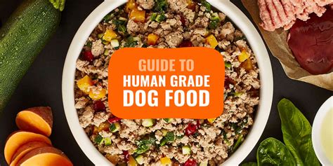 What is Human Grade Dog Food: A Culinary Conundrum or Canine Cuisine?